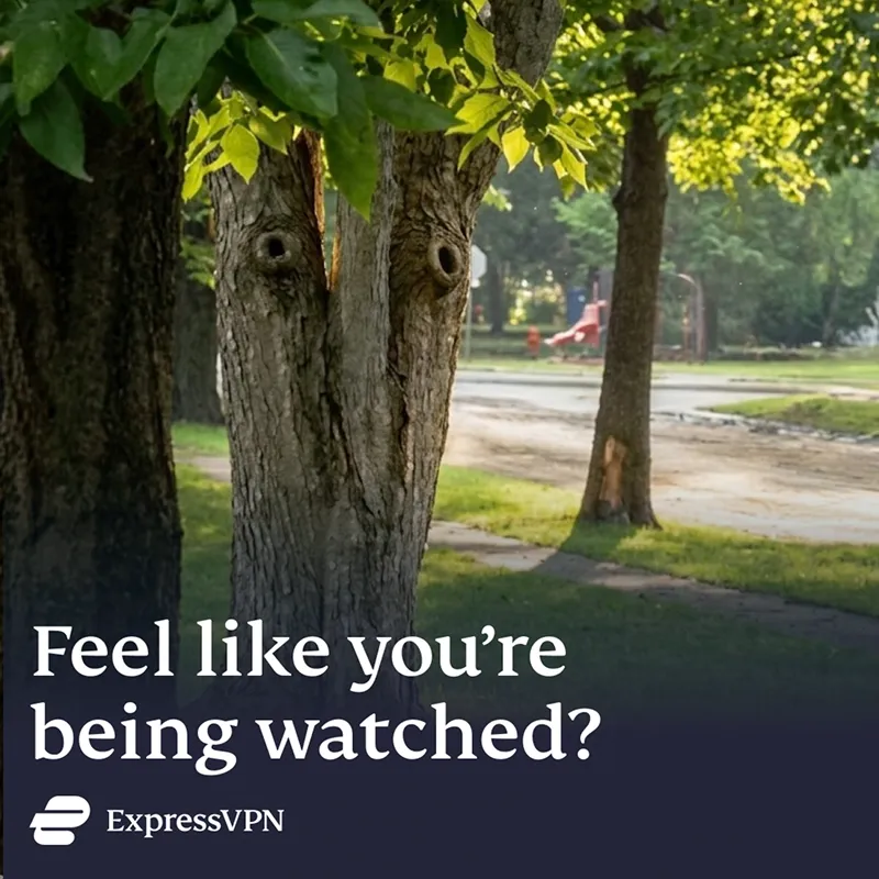 Video ad by Shlomo Genchin for ExpressVPN – online privacy campaign