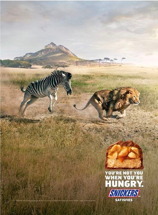 Snickers ad showing a zebra chasing a lion across the savanna with the tagline You're not you when you're hungry