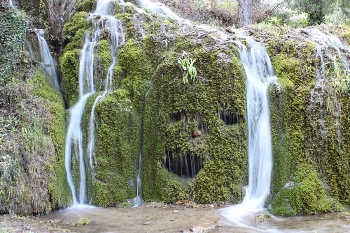 pick an interesting image - waterfall and foliage forming a face