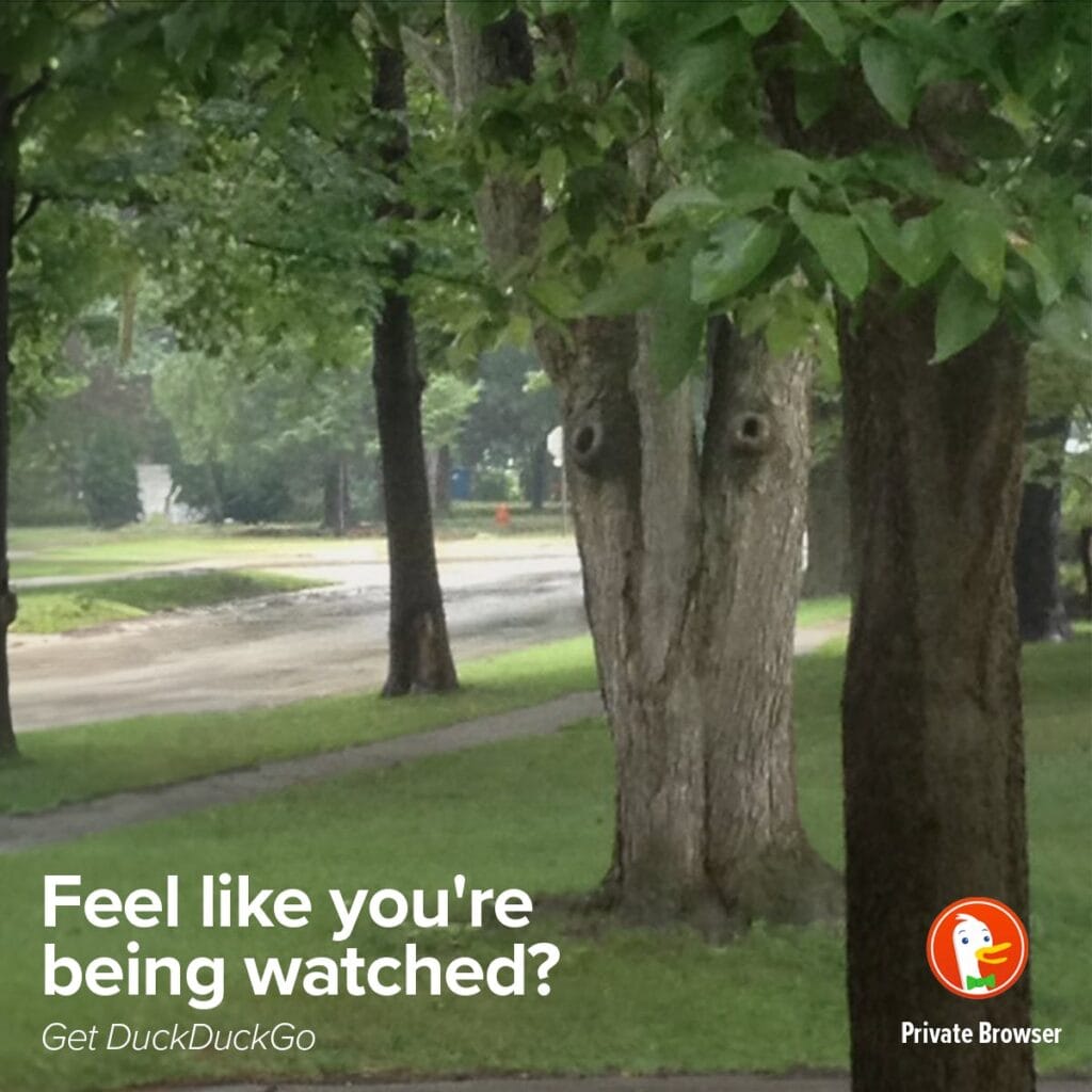 tree that looks like a face, 'feel like you're being watched? duckduckgo'